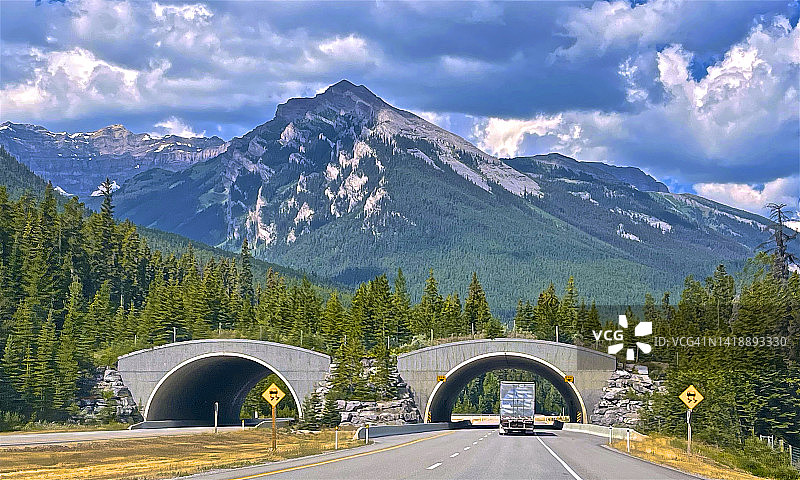 班夫国家公园跨越加拿大横贯公路的野生动物通道图片素材