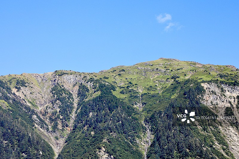 山顶上的绿色草甸图片素材