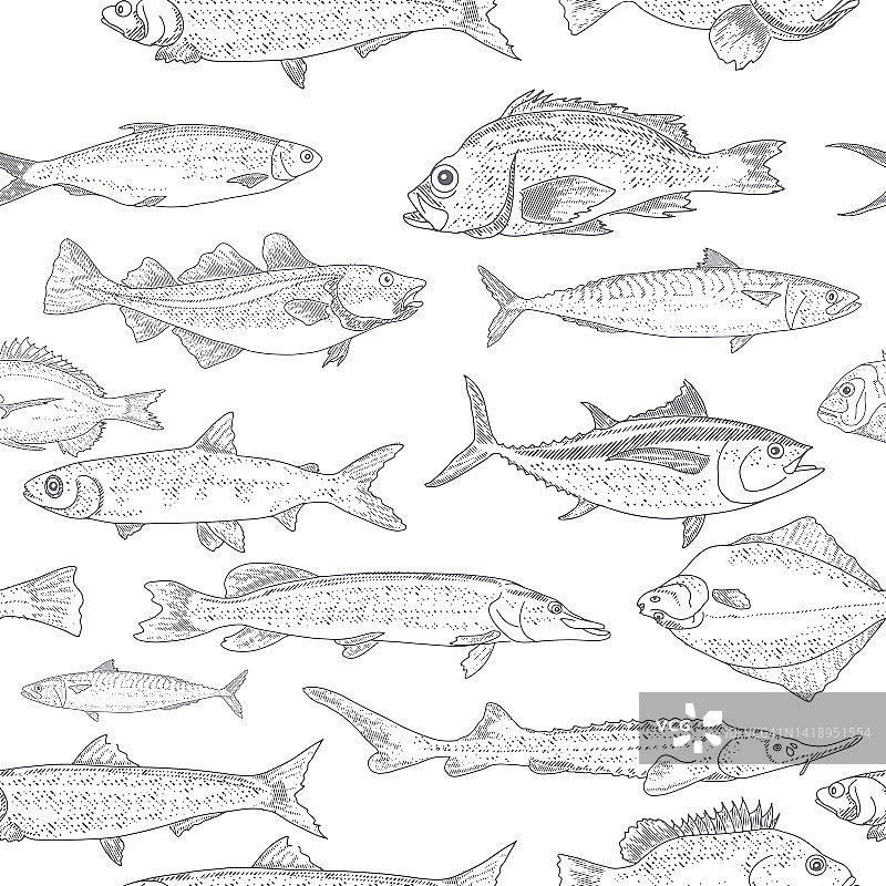 鱼类无缝图案图片素材