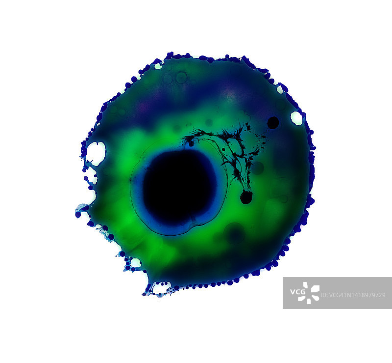 在空白画布上滑动的绿色和蓝色油漆滴图片素材