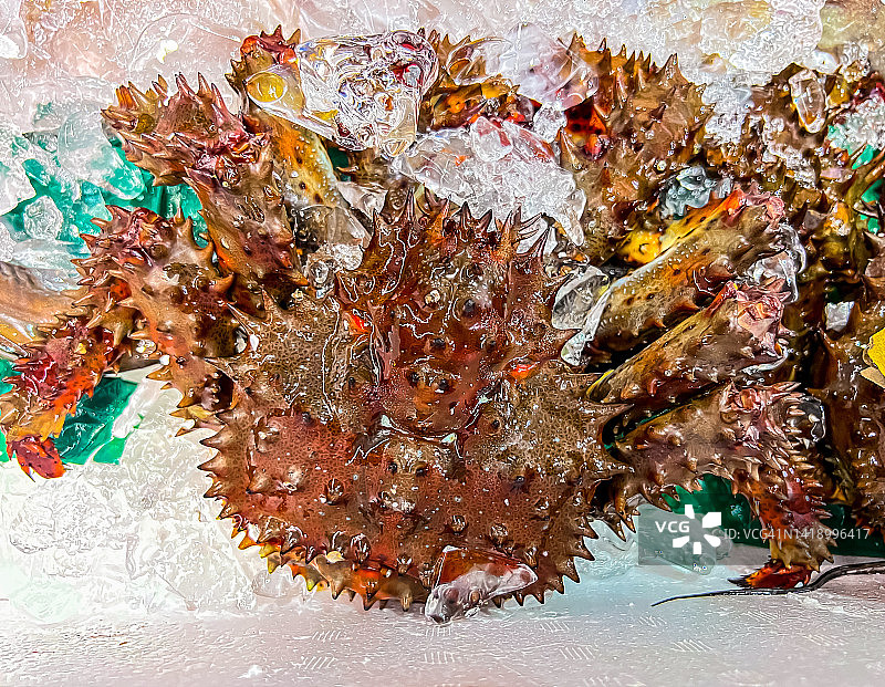 北海道的花咲蟹图片素材