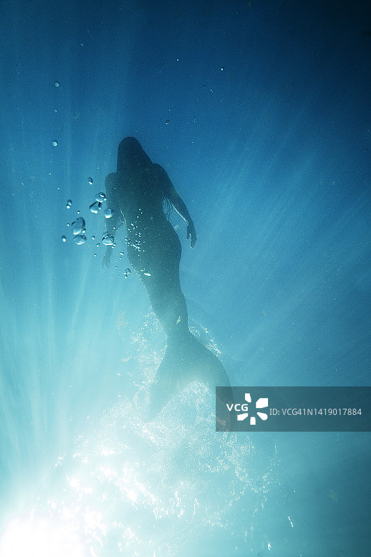 海里的美人鱼图片素材