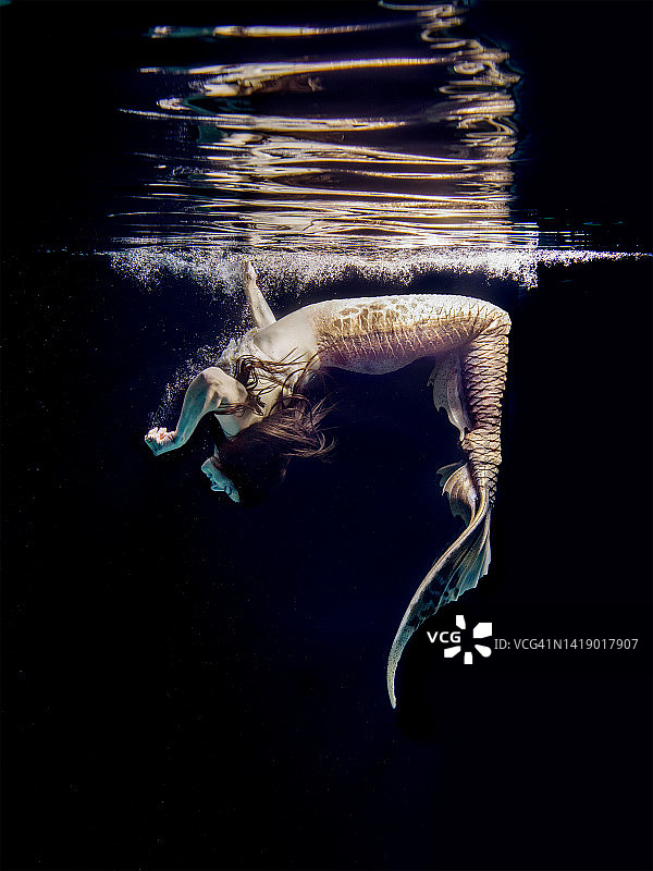 海里的美人鱼图片素材