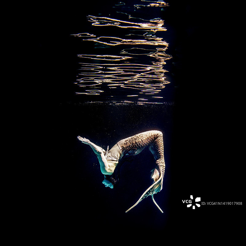 海里的美人鱼图片素材