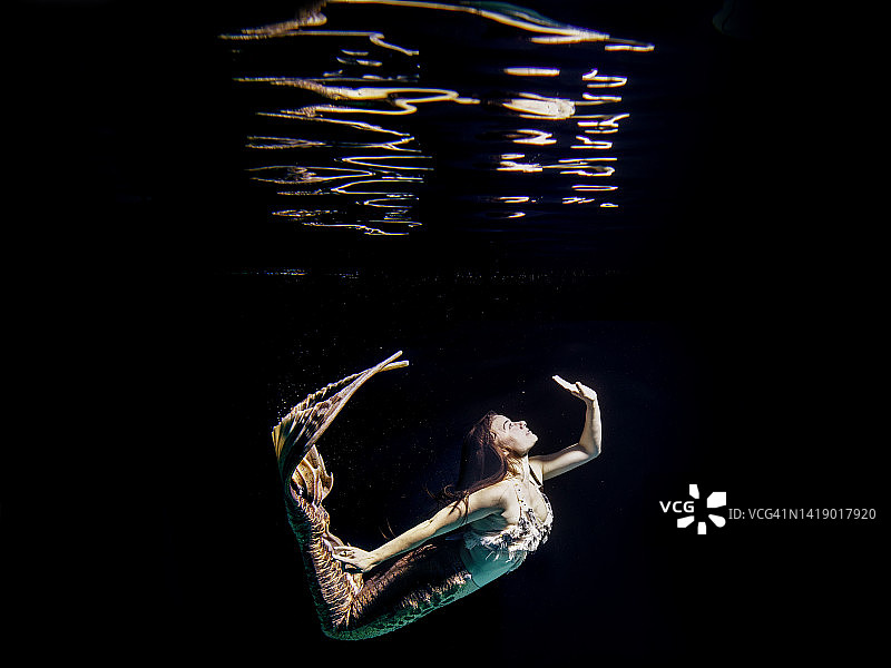 海里的美人鱼图片素材