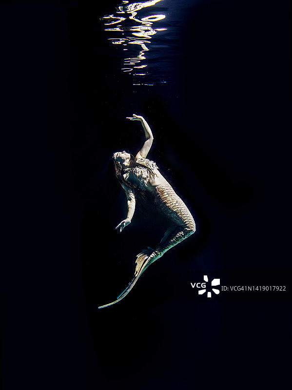 海里的美人鱼图片素材