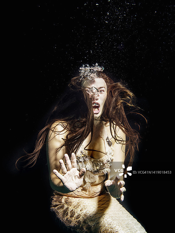 海里的美人鱼图片素材