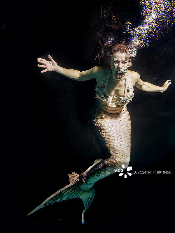 海里的美人鱼图片素材