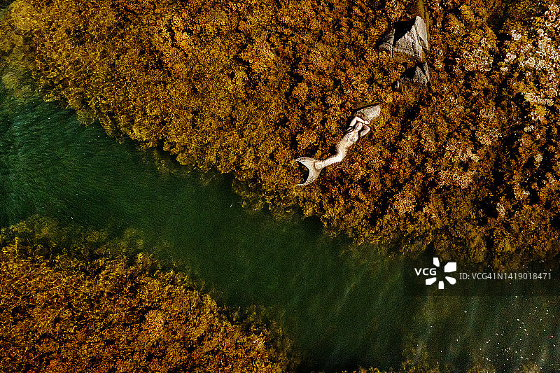 美人鱼卧于海草之中图片素材