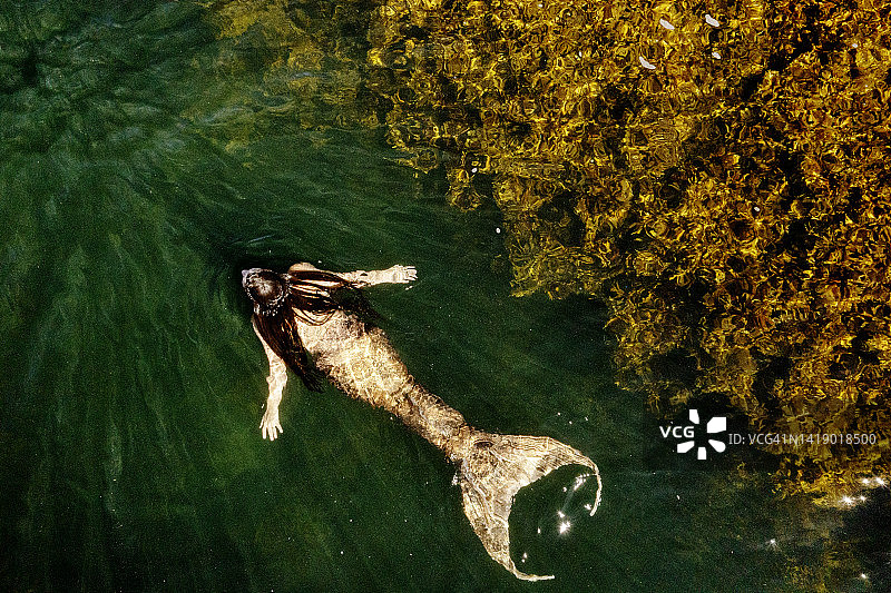 美人鱼在海中游泳图片素材