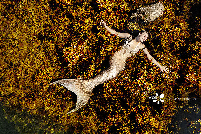 美人鱼卧于海草之中图片素材