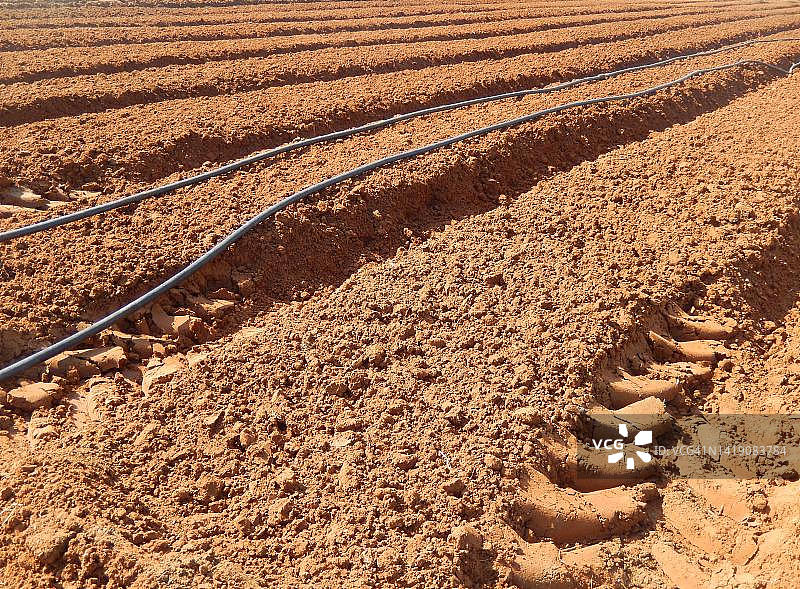 田野里的犁沟，以色列中部耕地全景图片素材