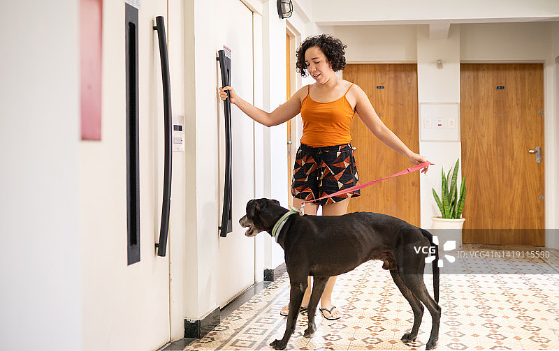 女人和她的狗在电梯里等着去散步图片素材