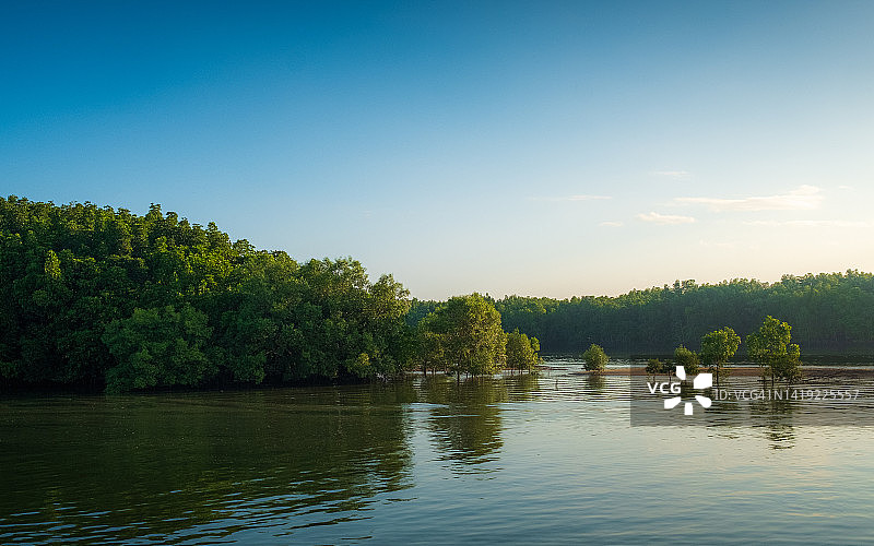 泰国南部甲米府红树林美丽的早晨图片素材