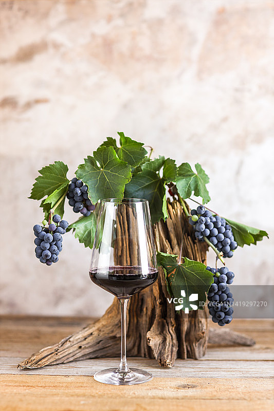 木头上放着优雅的红酒杯、成熟的葡萄和葡萄藤图片素材