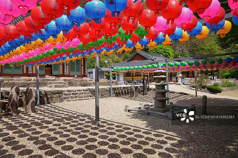 荷花灯笼图片素材