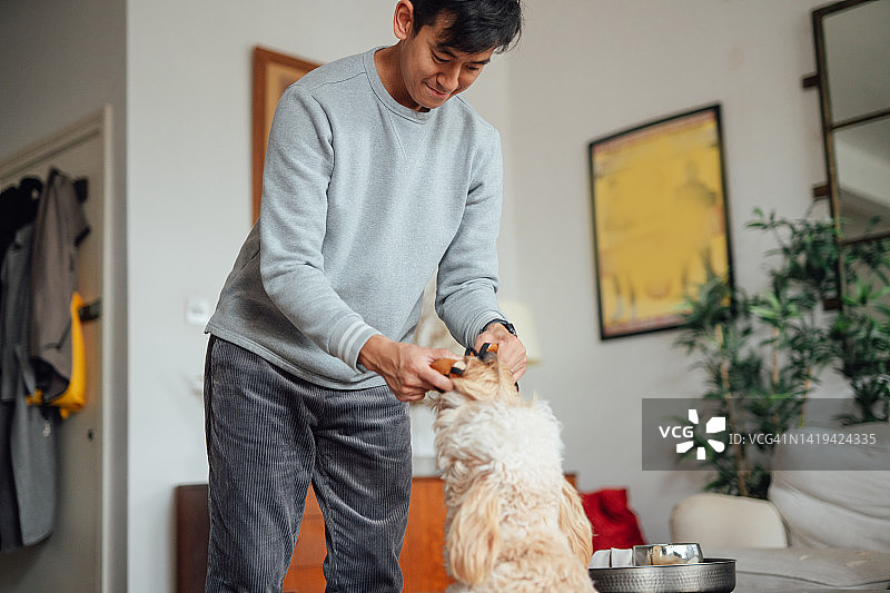 年轻男人在家训练他的狗图片素材