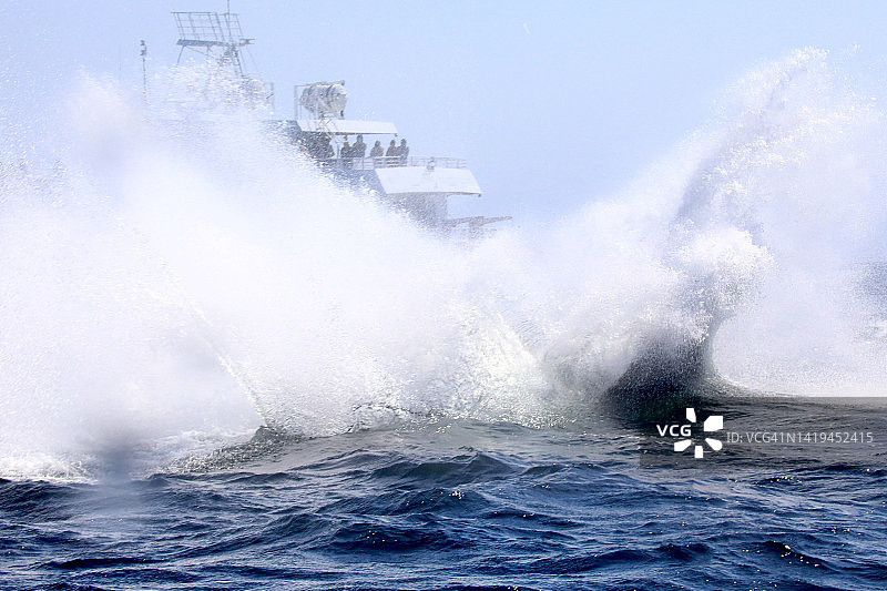 跃出水面的鲸鱼撞击水面图片素材