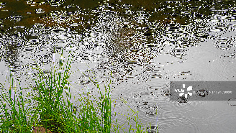 会说话的雨图片素材