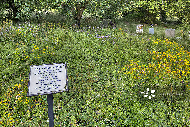 英国奇尔特恩山雷德纳奇教堂墓地的野生动物栖息地图片素材