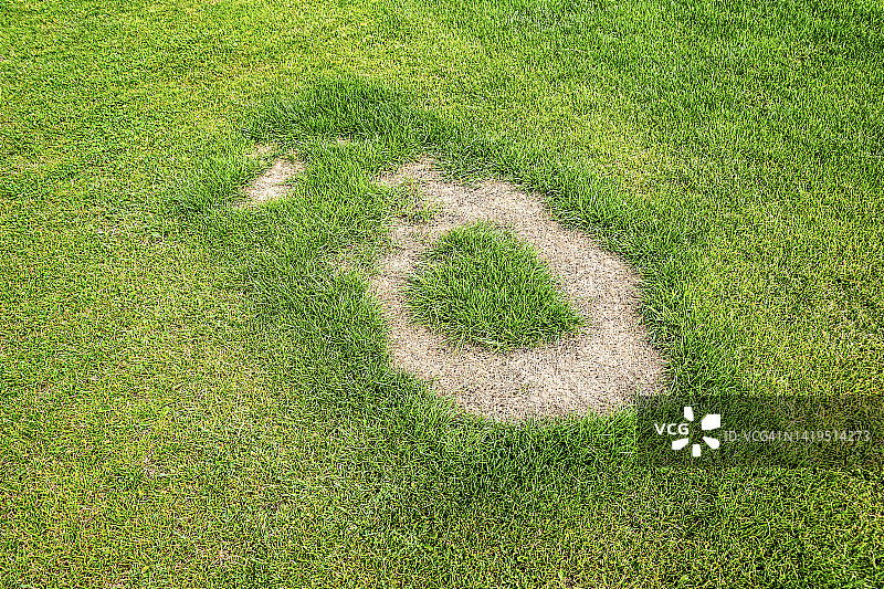 不完美的草坪图片素材