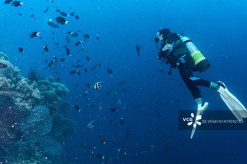 女人在图巴塔哈礁清晰的海水中上升图片素材