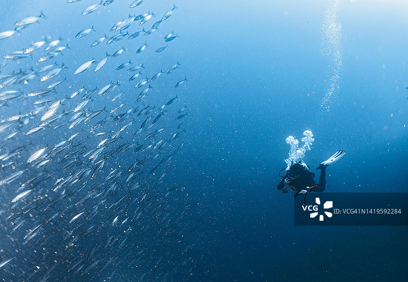 女人在图巴塔哈礁清晰的海水中上升图片素材