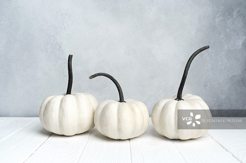 白色木桌上靠灰色墙的三只白色秋季南瓜图片素材