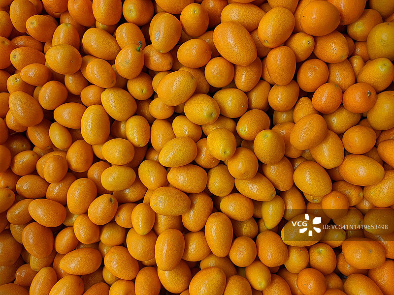 各种橘色金桔图片素材