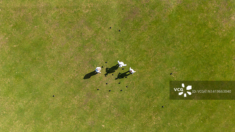 草地滚球比分图片素材