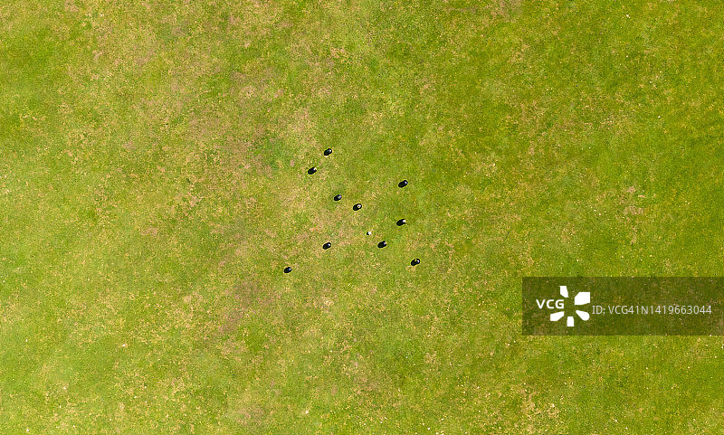 草地滚球图片素材