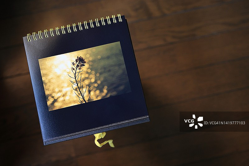 木地板上的原创工艺相册，金色油菜花剪影封面图片素材