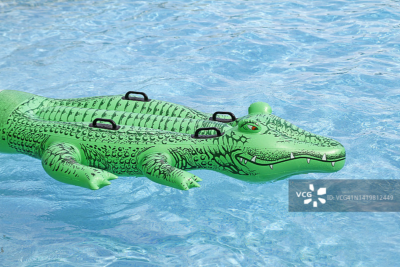 泳池中的充气鳄鱼图片素材