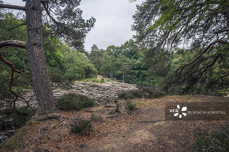 蒂斯代尔低瀑布的林地图片素材