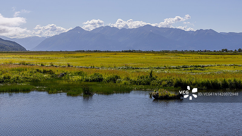 波特沼泽图片素材