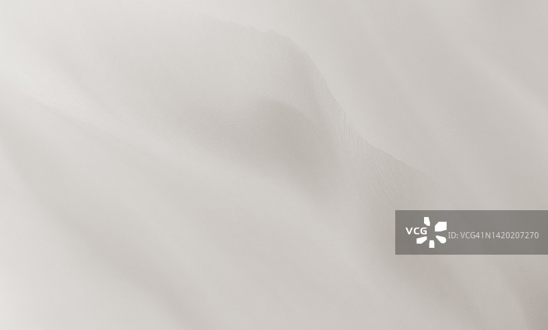 梦幻般的白色花瓣图片素材