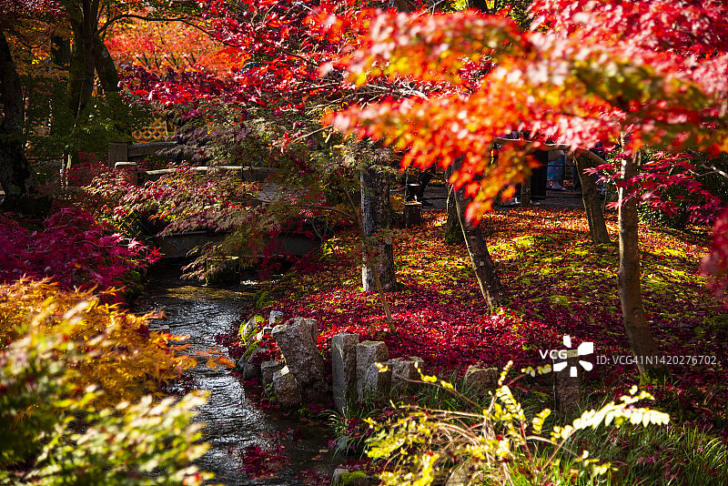 日本京都永观堂寺秋景图片素材