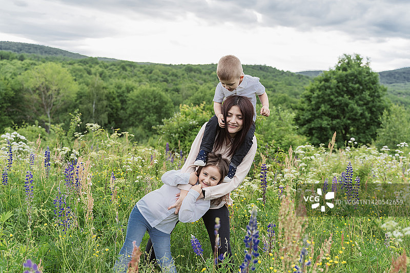 母亲和女儿及儿子在羽扇豆花草甸图片素材