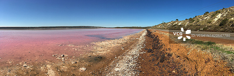 澳大利亚西部粉红湖全景图片素材