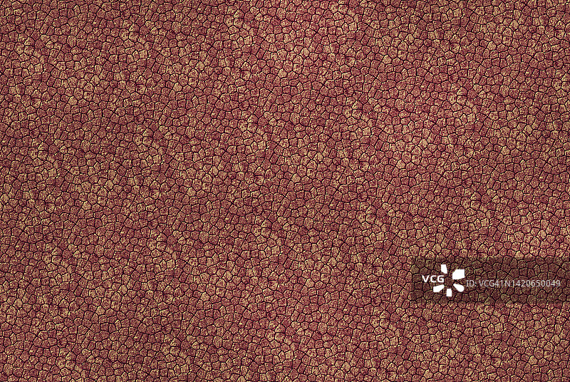 爬行动物皮革纹理背景图片素材