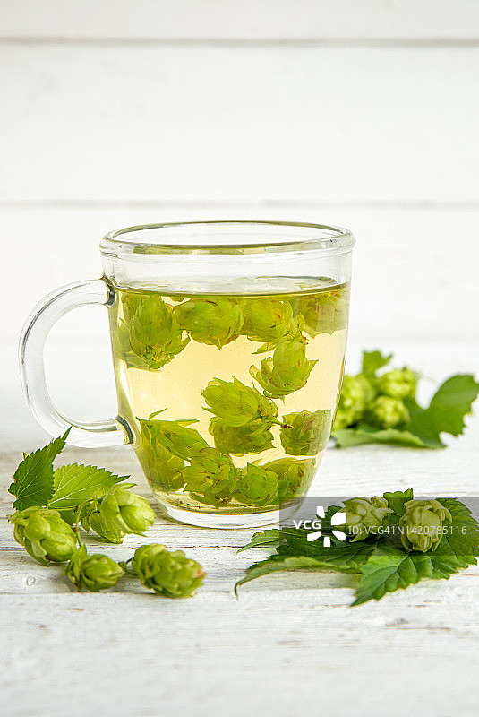 蛇麻草药茶：常见啤酒花，室内白色木质背景图片素材