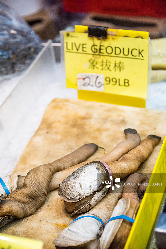 市场上出售的象拔蚌图片素材