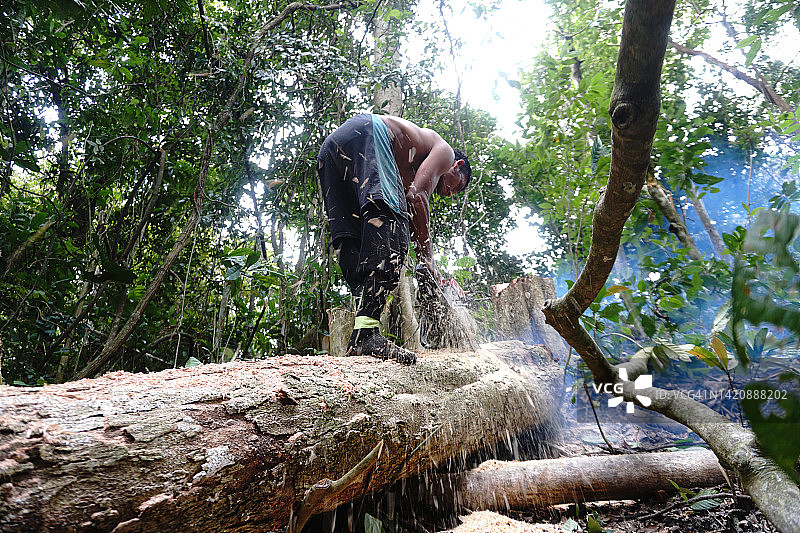 非法伐木图片素材