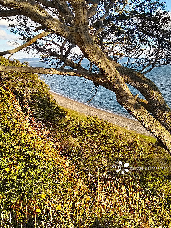 阿根廷巴塔哥尼亚乌斯怀亚拉尔加海滩图片素材