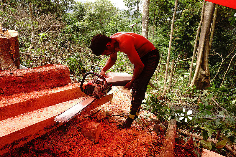非法伐木图片素材