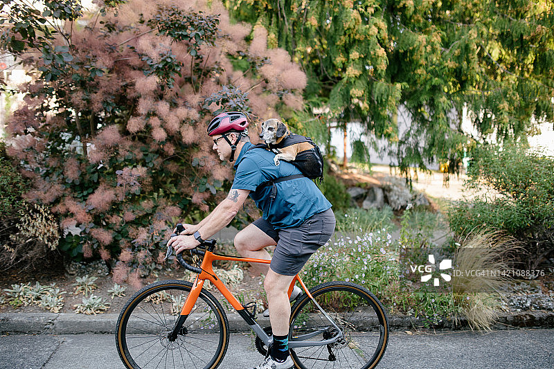 男人用背包携带宠物狗骑自行车图片素材