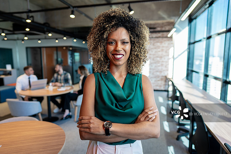 在联合办公的女商人图片素材