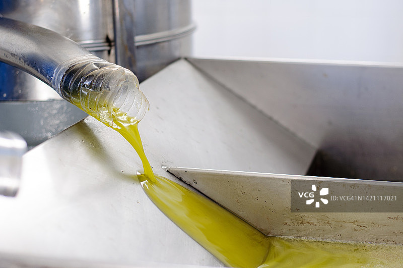 从软管倒入容器中的新鲜橄榄油图片素材