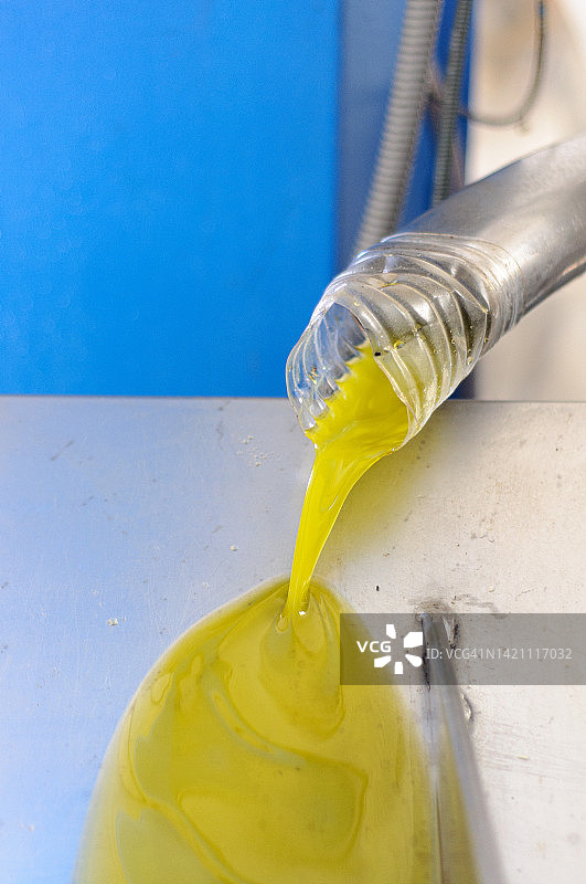 从管中倒出的鲜榨橄榄油特写图片素材
