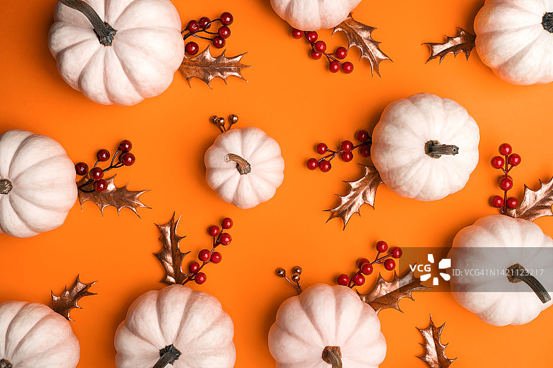 橙色背景上的白色季节性南瓜、红色荚蒾树枝和金色冬青树叶边框。感恩节概念。俯视摄影，带复制空间图片素材